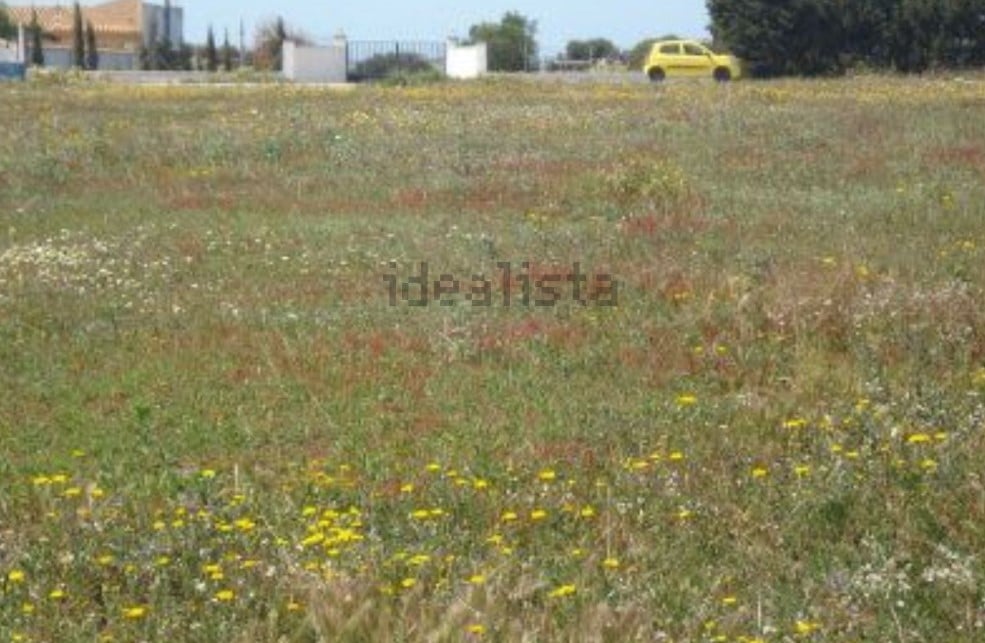 terreno finca palmar vejer cádiz conil vivienda venta campo