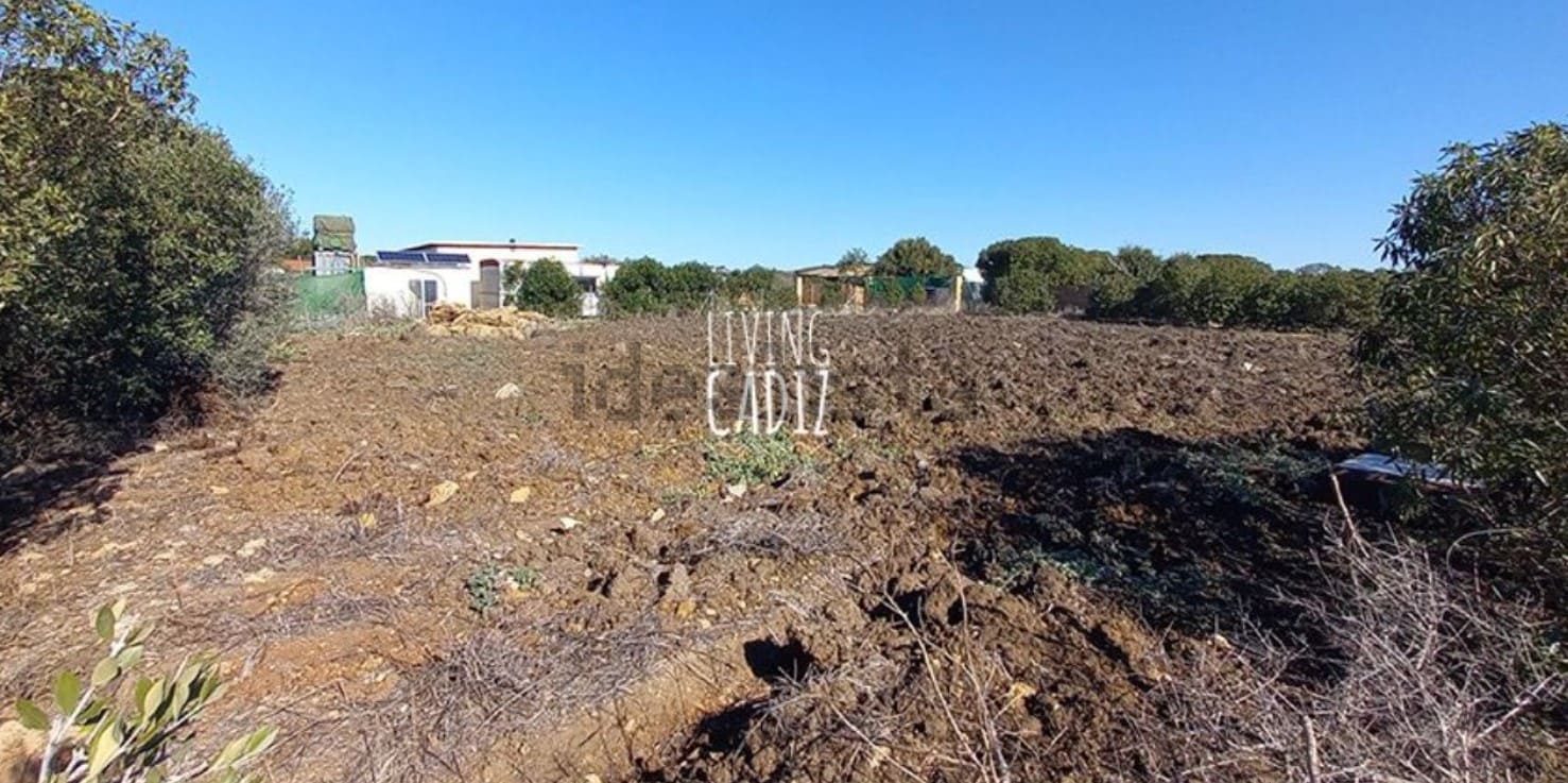 terreno finca palmar vejer cádiz conil vivienda venta campo