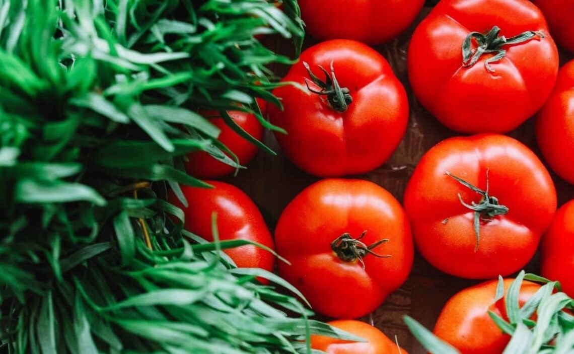 tomate alimento comida hortaliza verdura comer dieta salud nutrientes