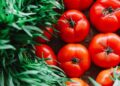 tomate alimento comida hortaliza verdura comer dieta salud nutrientes