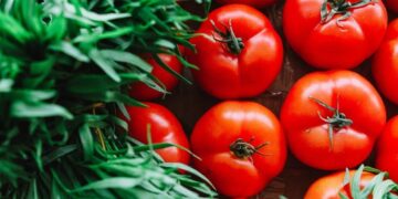 tomate alimento comida hortaliza verdura comer dieta salud nutrientes