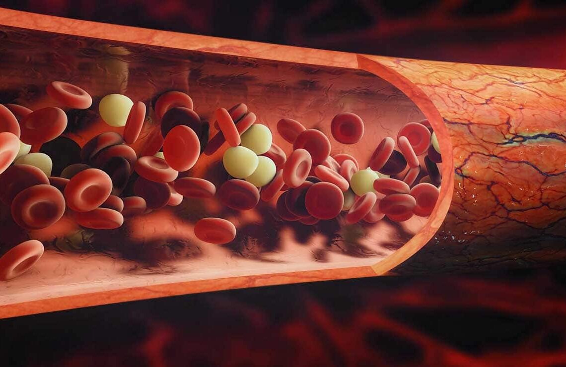 Triglicéridos en la sangre