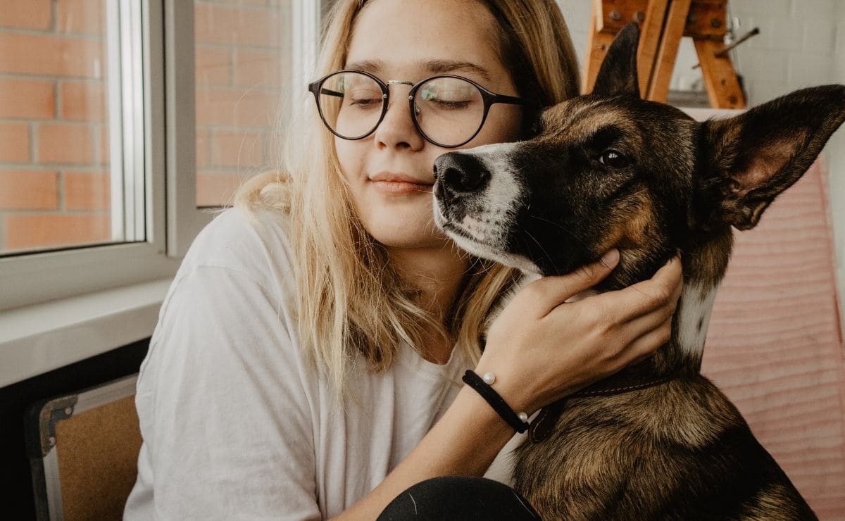 triglicérido epilepsia grasa salud perro hombre alimento médico veterinario