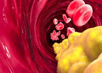 triglicéridos sangre salud organismo medicamentos presión sanguínea tensión arterial