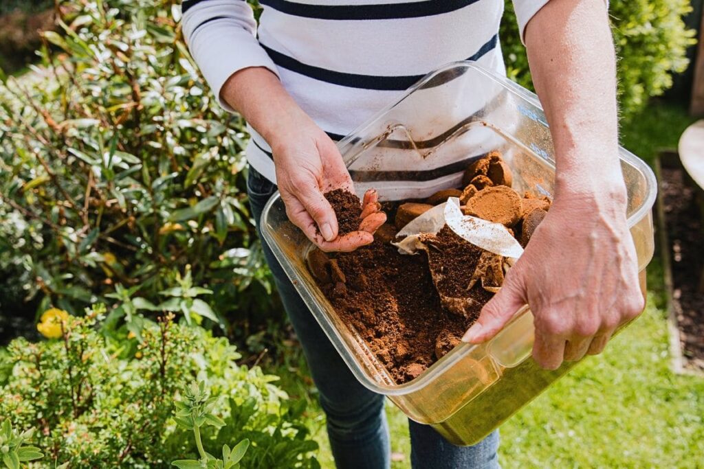 Café como abono para plantas