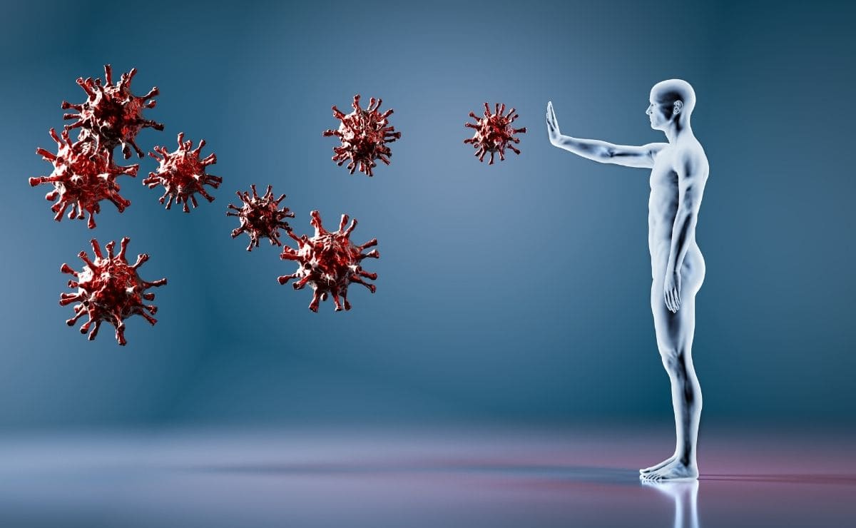 vacuna covid-19 anticuerpos celula T sistema inmune