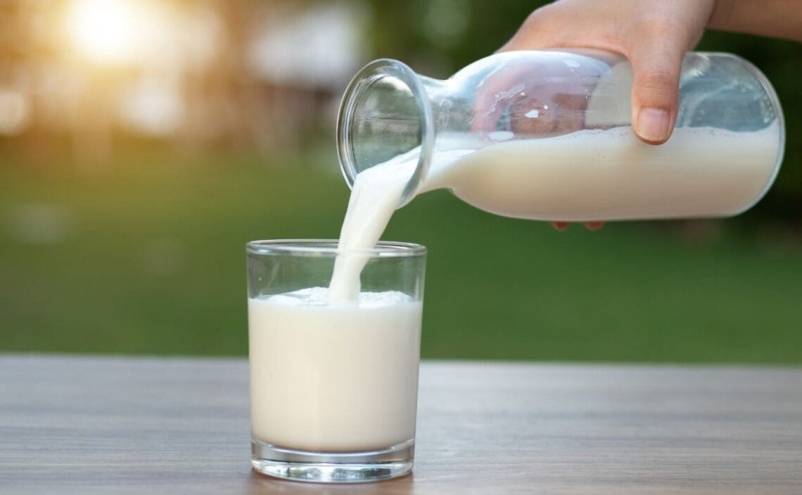 vaso de leche ayunas organismo