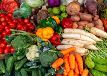 verduras colágeno remedio natural hortaliza producto vitaminas proteínas frutas