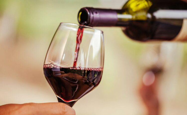 El vino podría ser un aliado de la salud cognitiva en personas mayores