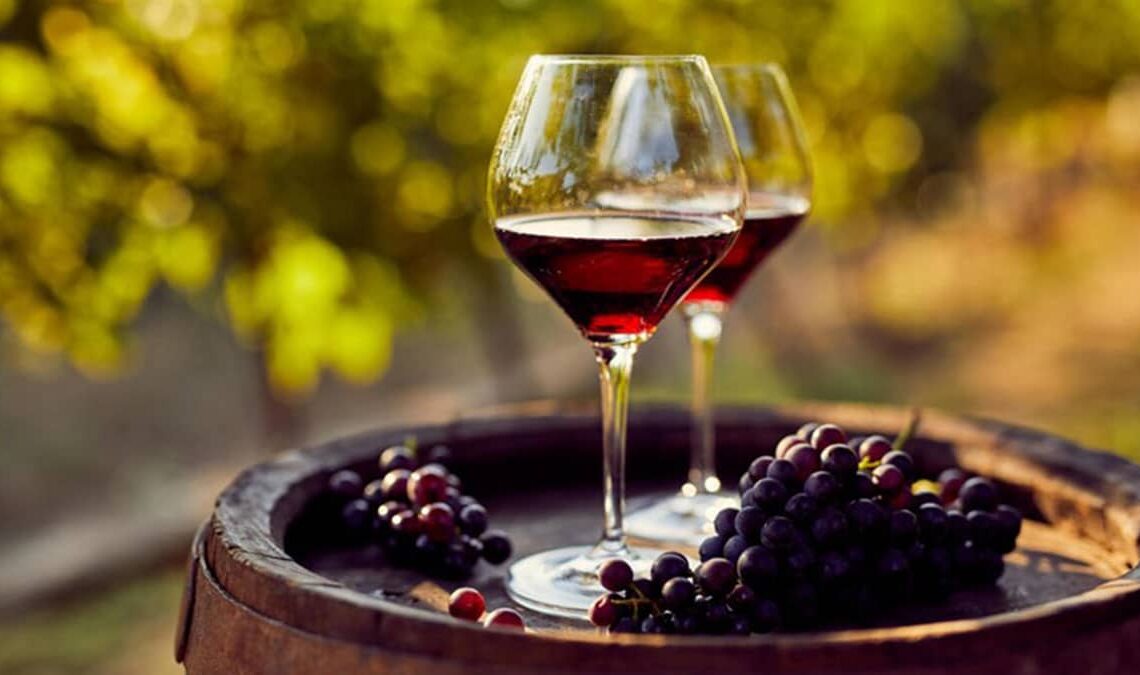 Vino tinto antioxidante Resveratrol