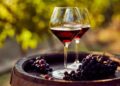 Vino tinto antioxidante Resveratrol