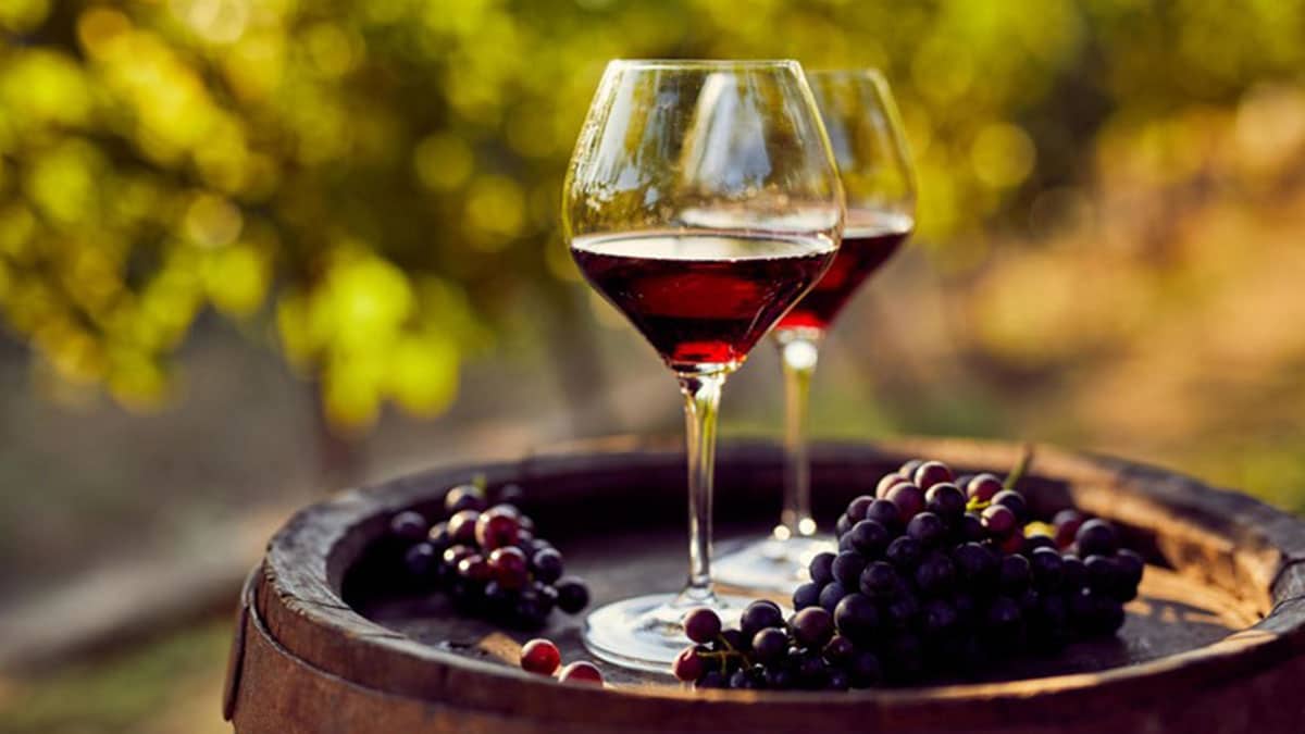 Vino tinto antioxidante Resveratrol