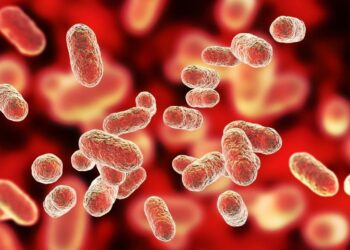 Beneficios de la vitamina D en nuestra flora intestinal