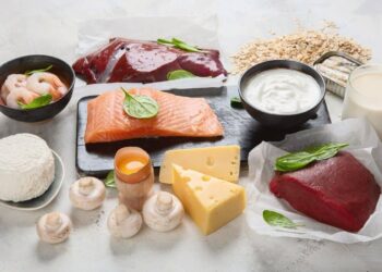 vitaminas vitamina b12 alimentos grasos organismo salud dieta productos