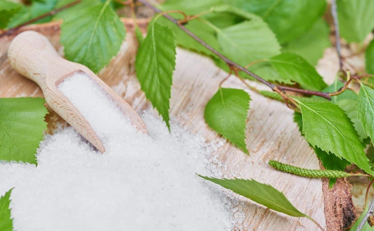 xilitol sustitutivo azúcar alimento organismo salud edulcorante melaza