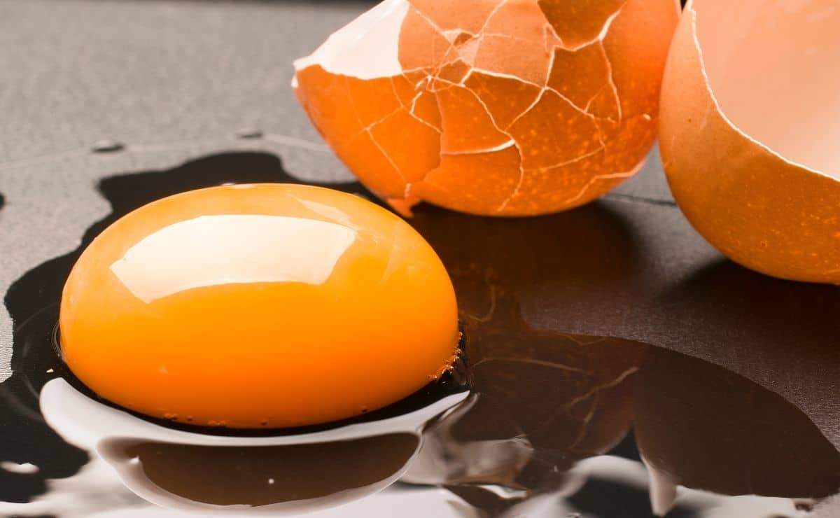 yema huevo alimento colina beneficios organismo dieta nutriente