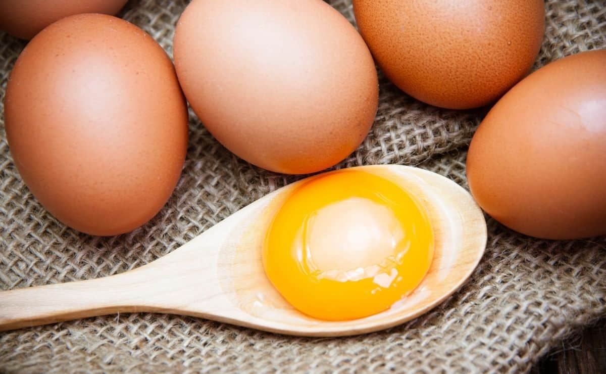 yema huevo alimento colina beneficios organismo dieta nutriente