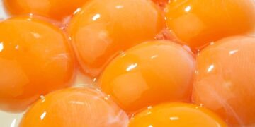 yema huevo alimento propiedades nutritivas organismo beneficio salud dieta