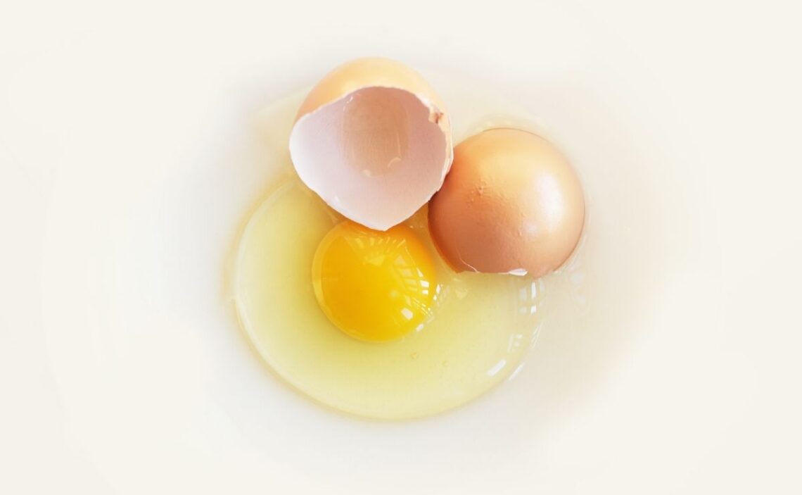 yema huevo alimento proteínas vitelina salud dieta comida