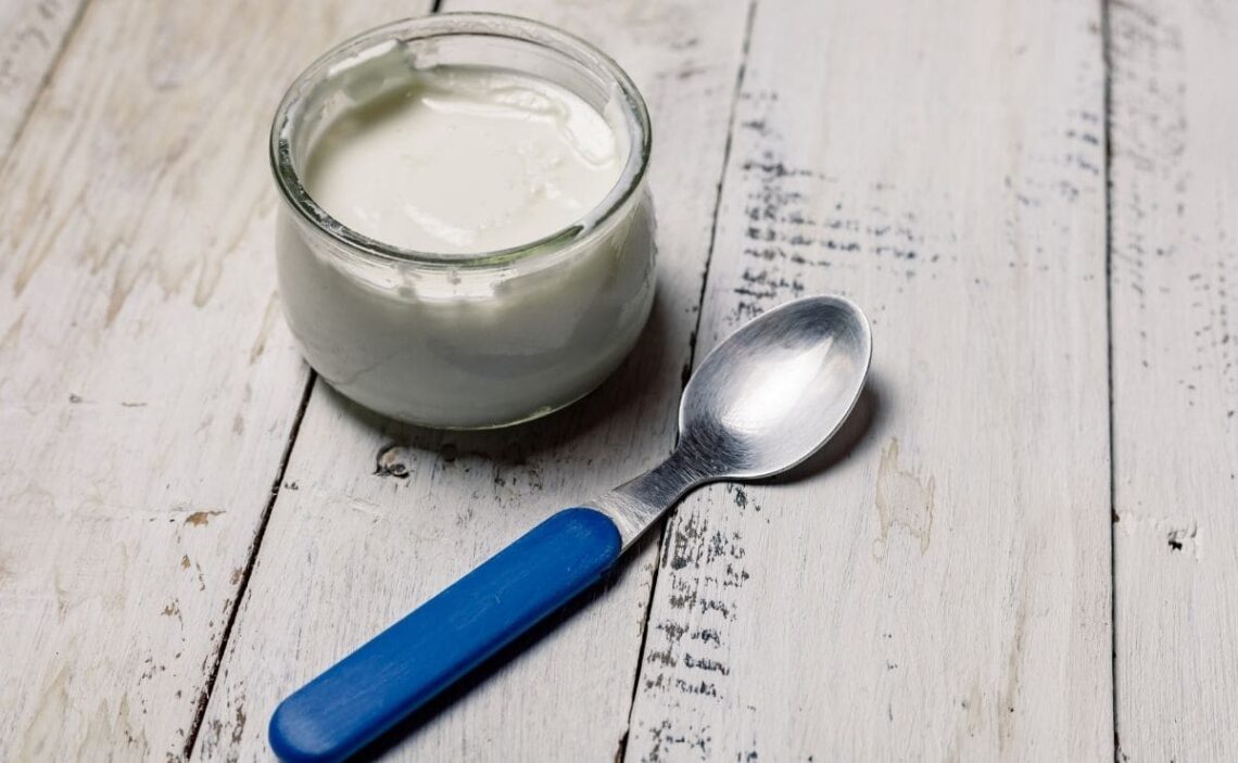 yogur alimento probiotico