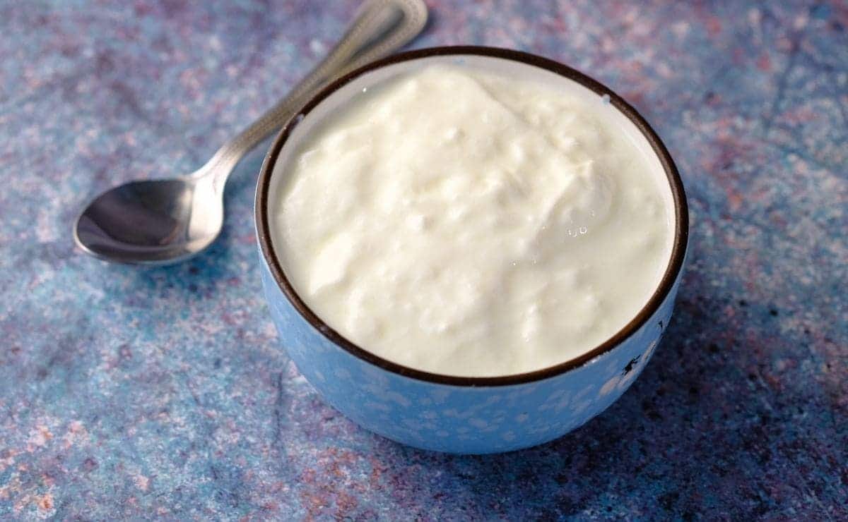 yogur alimento probiotico