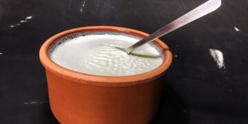yogur estomago flora intestinal