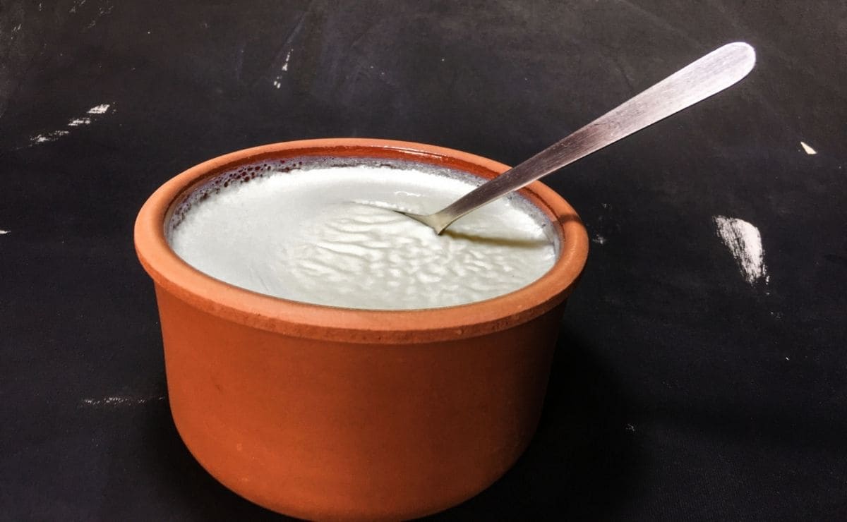 yogur estomago flora intestinal