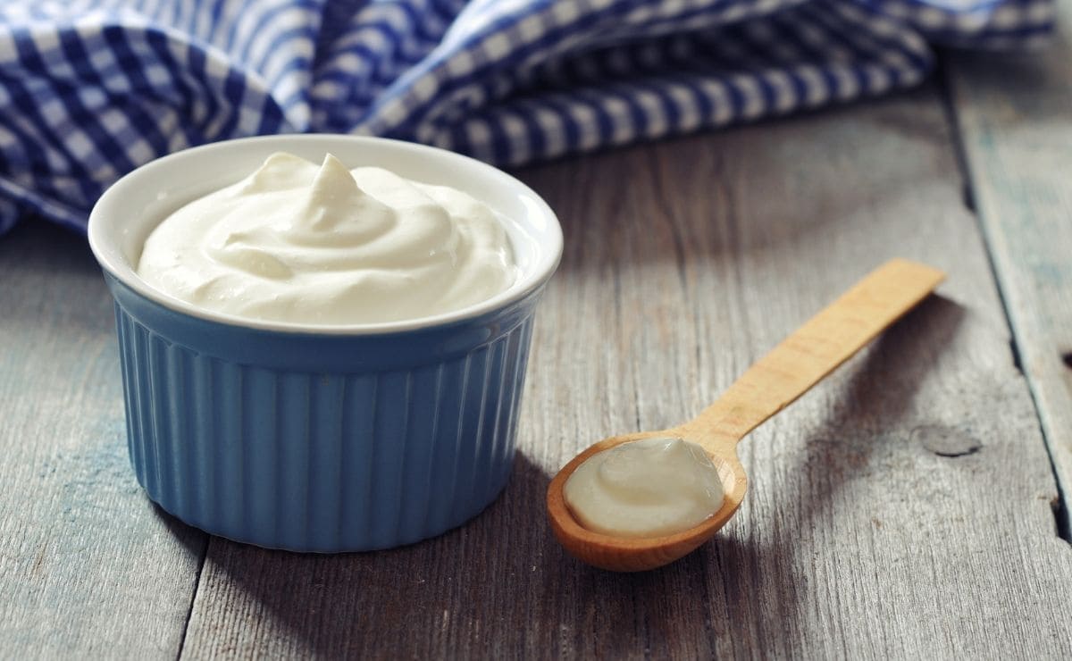 yogur griego yogur natural