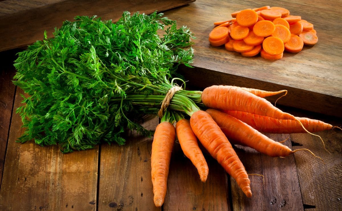 zanahoria alimento verdura vista comida hortaliza