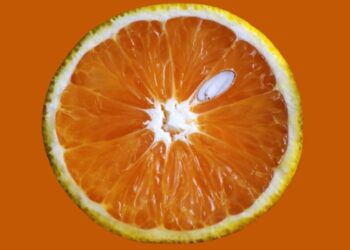 Zumo de naranja ayunas para el organismo
