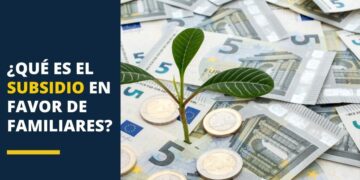 ¿Qué es el subsidio en favor de familiares?