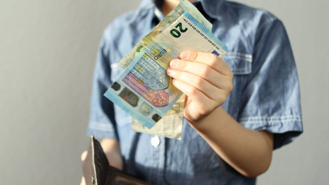 Ingreso Mínimo Vital con dos hijos