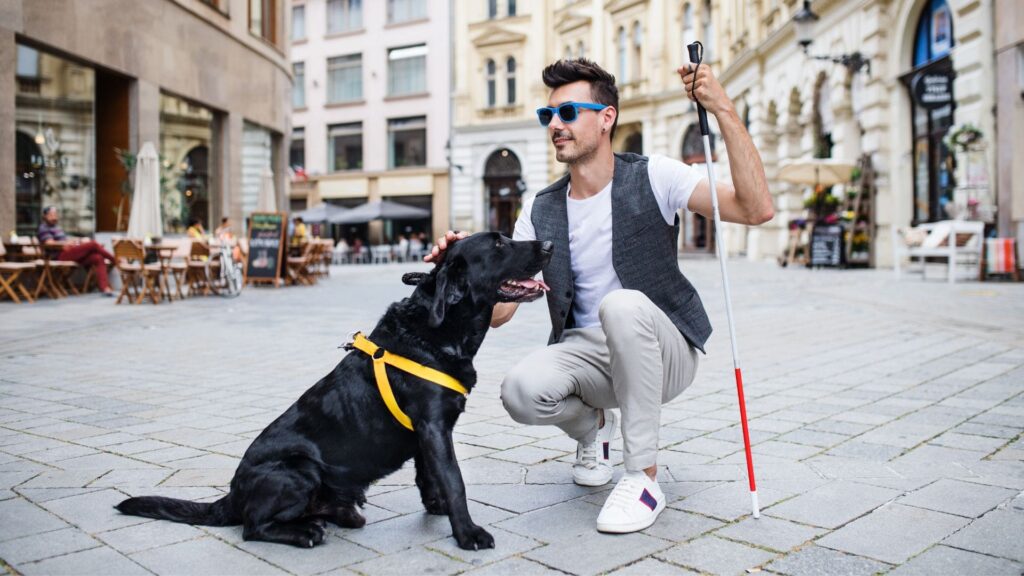 KIWOKO lanza un calendario solidario para concienciar sobre la labor de los perros guía de la ONCE