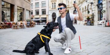 KIWOKO lanza un calendario solidario para concienciar sobre la labor de los perros guía de la ONCE