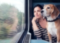 Viajar con mascotas en trenes de Renfe