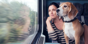 Viajar con mascotas en trenes de Renfe