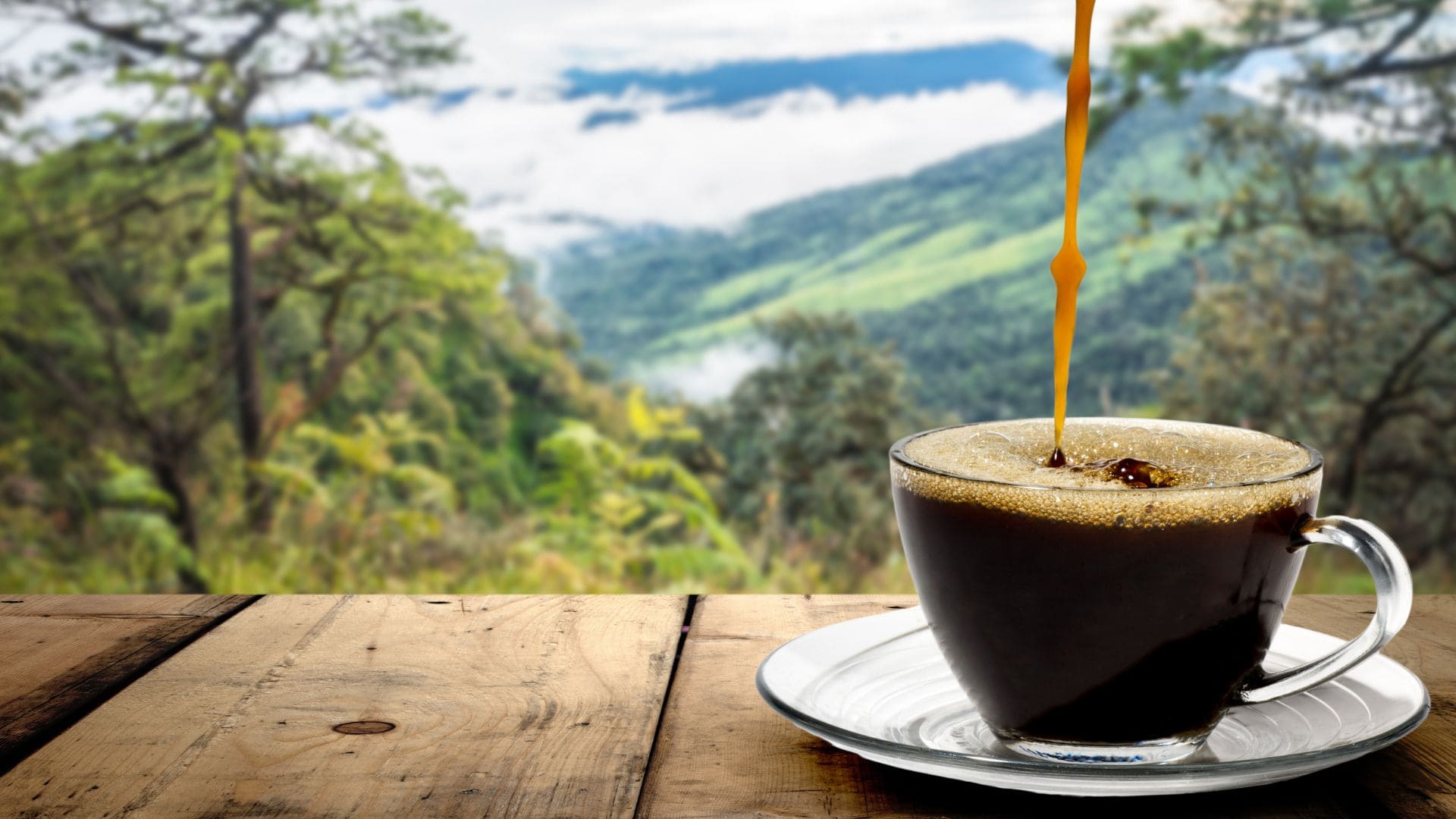 El café con canela puede mejorar la memoria