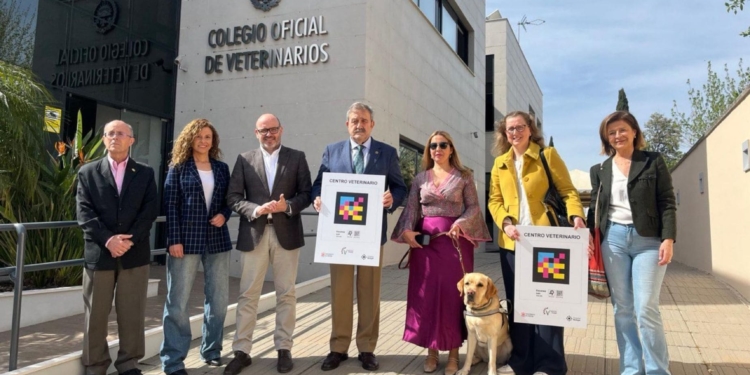 Córdoba da otro paso más a favor de la accesibilidad con NaviLens