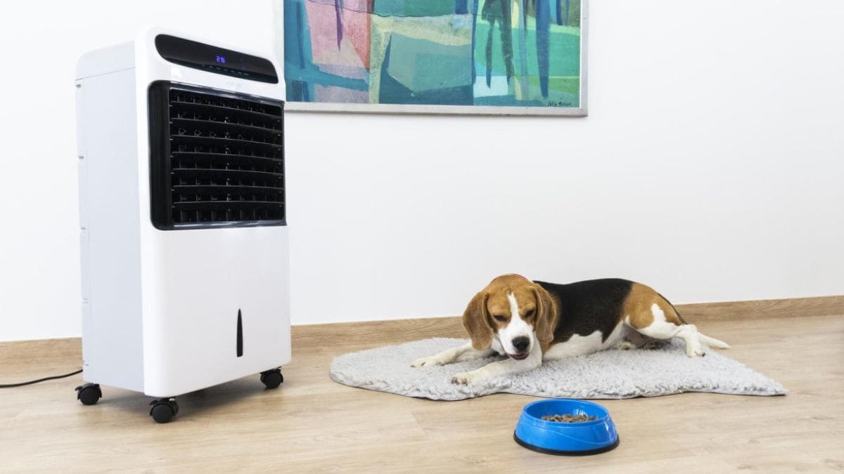 Climatizador evaporativo