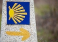 12 personas con discapacidad van a recorrer el Camino de Santiago Francés entre Pamplona y Logroño