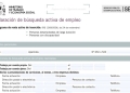 El SEPE tiene establecido como requisitos fundamental que el solicitante de un subsidio esté en búsqueda activa de empleo y lo acredite