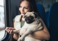 Viajar con perro en Renfe