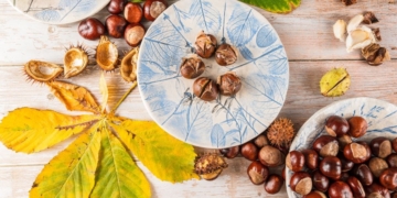 El fruto que recomiendan los expertos en otoño