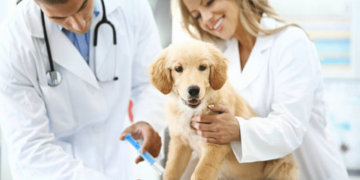 Protege a tu mascota de la Leishmaniasis con esta innovadora vacuna del CSIC