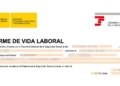Descargar el informe de vida laboral de la Seguridad Social
