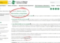 El nuevo requisito que exige el IMSERSO para la pensión no contributiva de jubilación