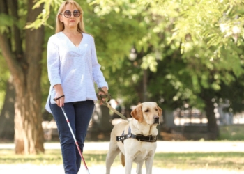 Las personas con discapacidad podrán acceder con su perro de asistencia a los espacios de "uso colectivo" de Valencia