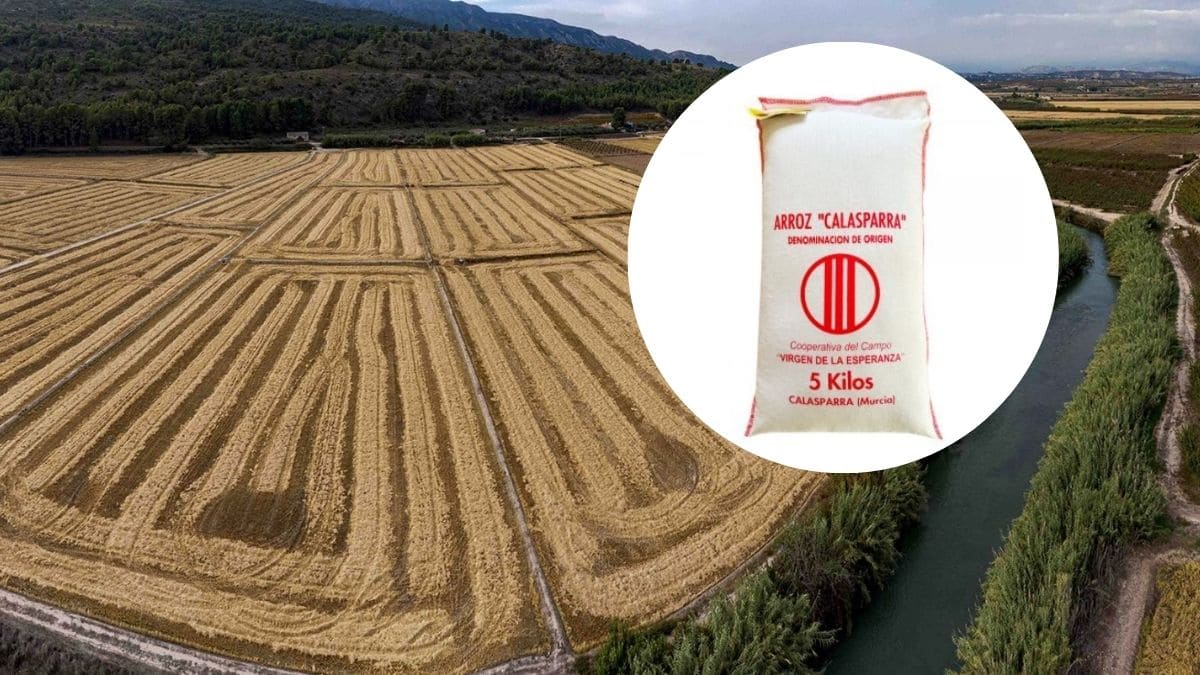 Arroz bomba de Calasparra - Montaje