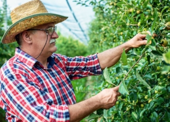 COAG Andalucía solicita la jubilación anticipada para agricultores y ganaderos
