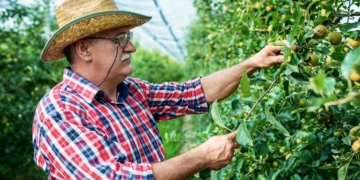 COAG Andalucía solicita la jubilación anticipada para agricultores y ganaderos